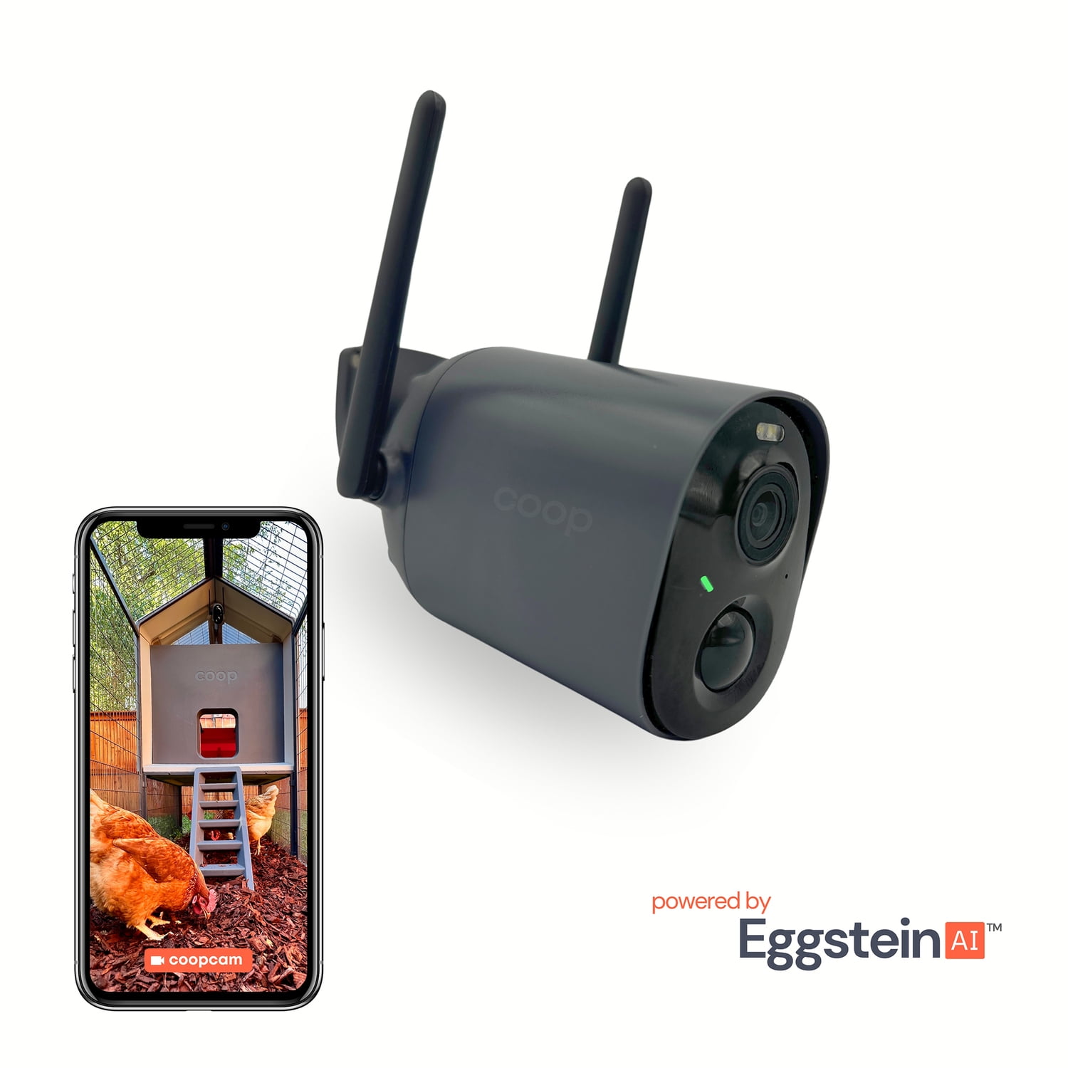 coop 1080p AI-Powered Rechargeable Wi-Fi CoopCam, 100-605 - Image 6