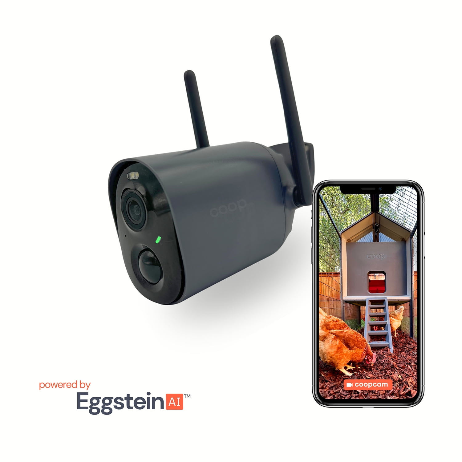 coop 1080p AI-Powered Rechargeable Wi-Fi CoopCam, 100-605 - Image 7